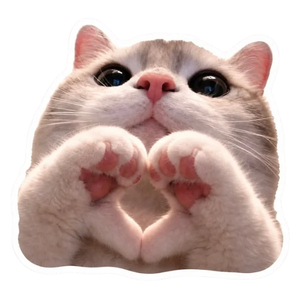 Pegatina de un gato haciendo un corazón con las patas