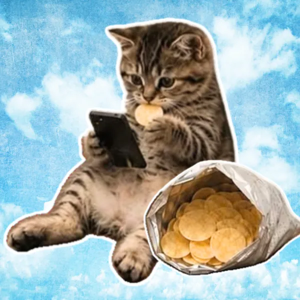 Pegatina de un gato con el móvil y una bolsa de patatas, esperando respuesta