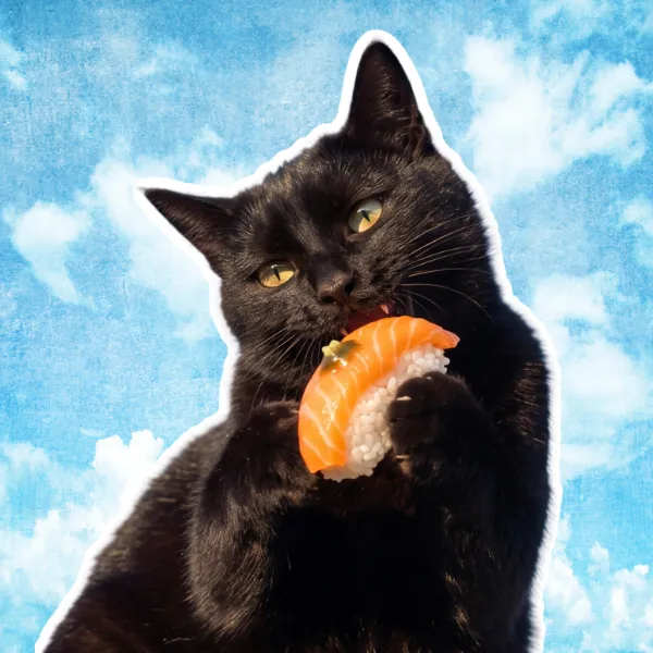 Pegatina de un gato negro comiendo sushi, para restaurantes de Alicante